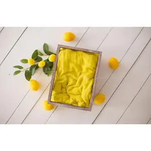 Lemon Newborn Digital Backdrop