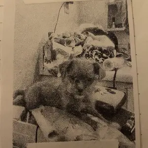 review image 1
