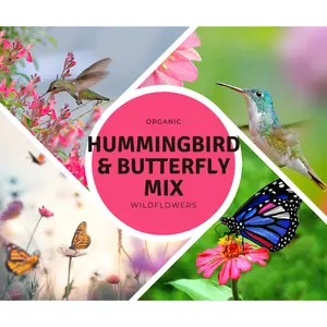Hummingbird & Butterfly Wildflower Mix Organic Seeds – A vibrant blend of nectar-rich blooms to attract hummingbirds, butterflies, and bees. Great for pollinator gardens.