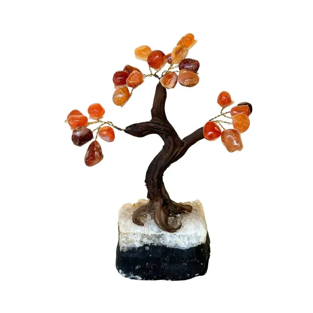 Feng Shui Money Tree - Carnelian