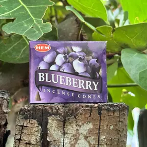 Blueberry Incense Cones