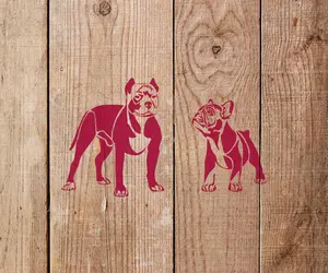 Bulldog and Pitbull Stencil - Art and Wall Stencil