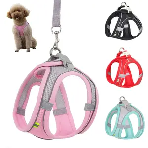 PetSafe Dog Harness with Leash for Small Dogs - Soft and Breathable Fabric