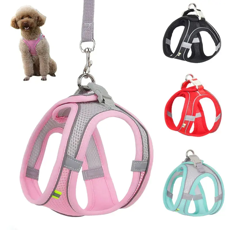 PetSafe Dog Harness with Leash for Small Dogs - Soft and Breathable Fabric