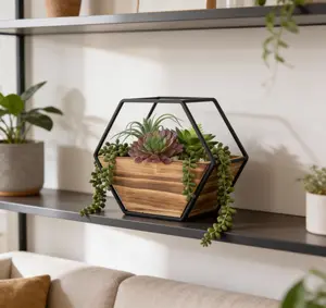 Hexagon Wall Succulent Planter Hexagon Wall Succulent Planter