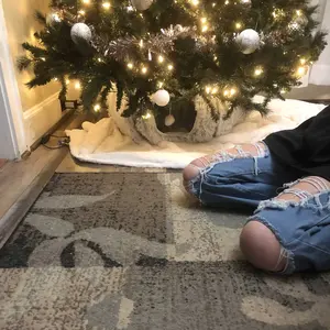 Product Review of Winter Warm Pet Bed, 2 in 1 Foldable Cat Tunnel Cat Bed, Warm Plush Cat Bed with Hanging Ball & Tunnel Buckle, Pet Supplies for Indoor Outdoor Use from J**a O**e