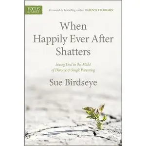 USED-When Happily Ever After Shatters: Seeing God in the Midst of Divorce & Single Parenting by Birdseye, Sue (Paperback)