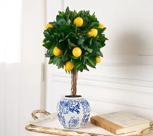 Hotel du Cobb by Dennis Basso 19" Faux Lemon Sphere in Pot