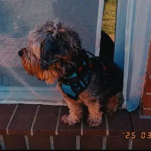 Product Review of GLOBAL PICK 4K Digital Camera with 180° Flip Screen, 16X Digital Zoom Vlogging Camera, Autofocus Camera, Including Wide Angle & Macro Lens, 32GB TF Card, Ideal Gift Choice, Photographic Kit from 𝐾**𝑖 **