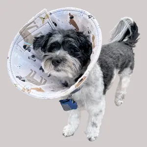 Soft Dog Cone for Surgery Recovery – Comfortable & Flexible (Beige Dog Park Print)