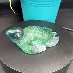 Rainbow Fluorite Turtle