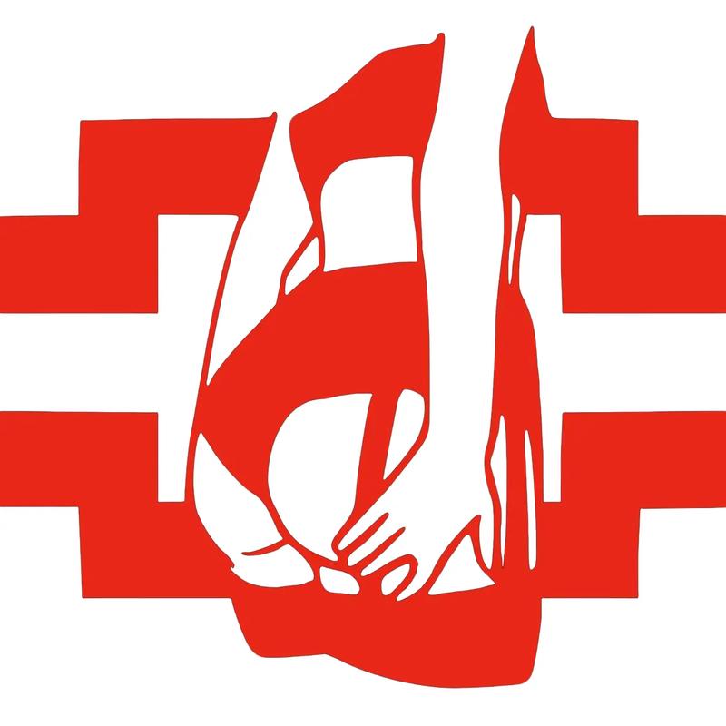 Chevy decal with a sexy girl