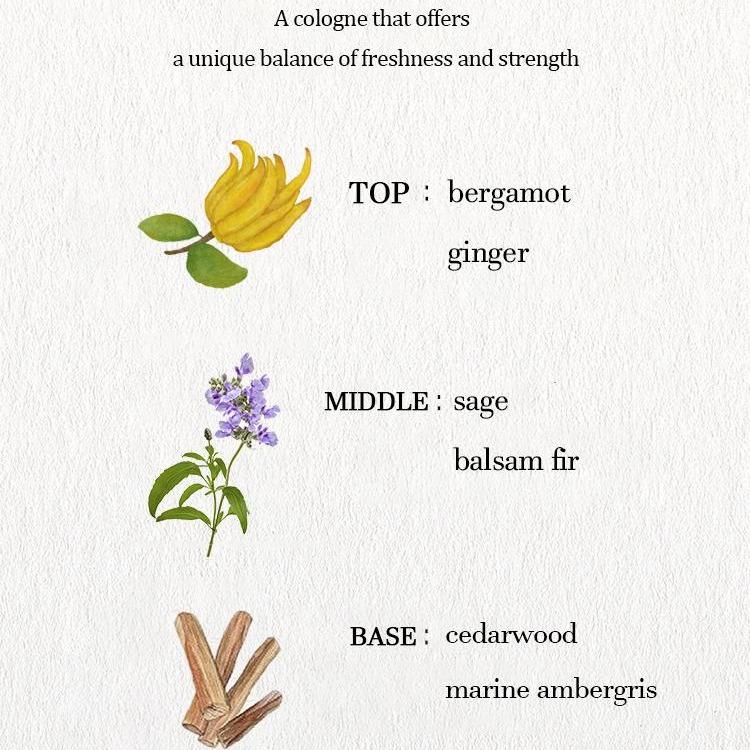 Urban Migrage Cologne 1.7OZ Fragrance Gift Perfume Scent Unisex Blend Eau De Parfum Pack Scented Aroma Cosmetic Cologne Unisex Floral Eau De Parfum