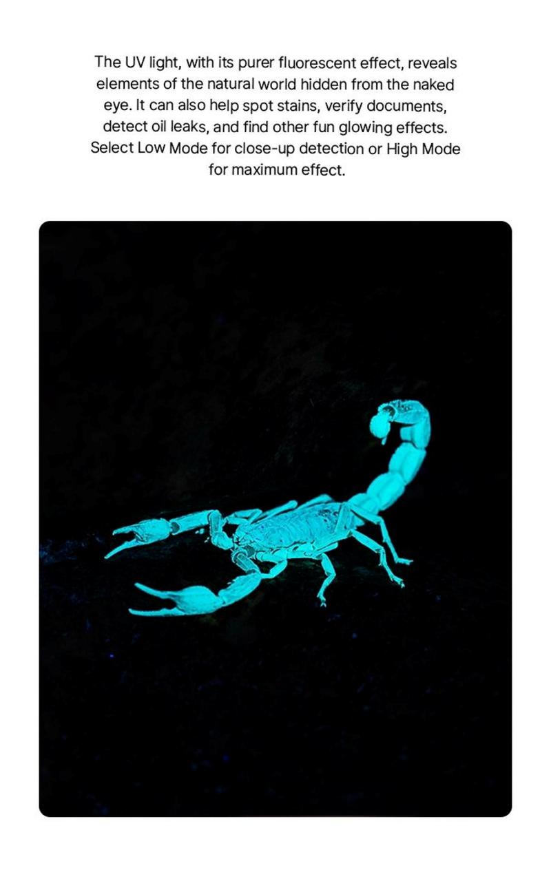 Olight ArkPro Magnetic Tail