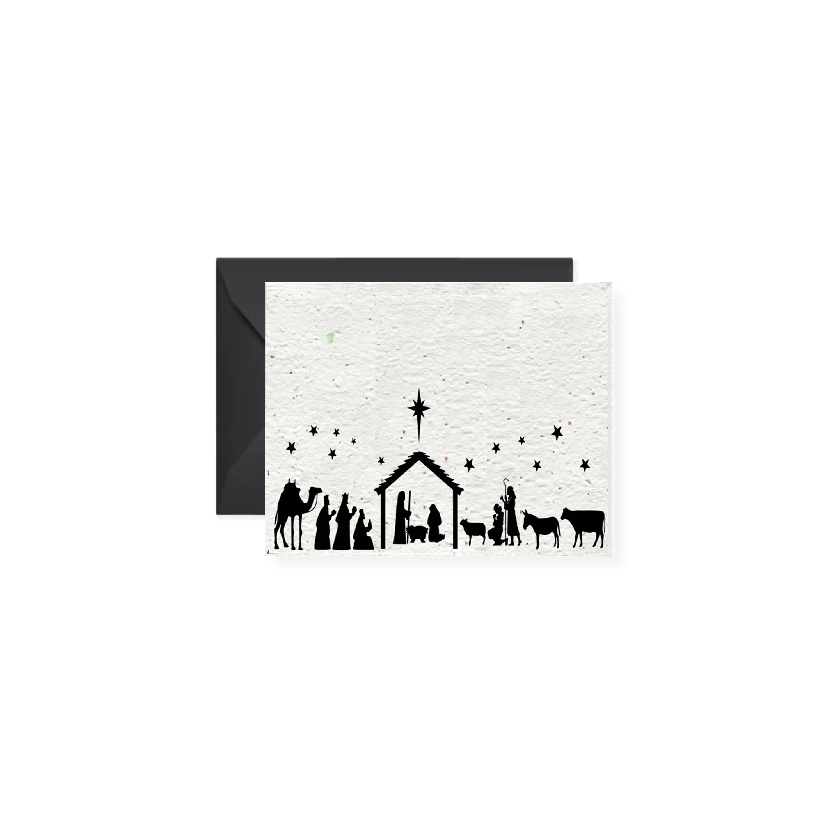 Nativity Christmas Wildflower Seed Paper Greeting Card
