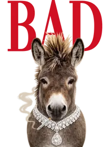 Bad Ass Donkey Graphic Tee By Keep It Gypsy