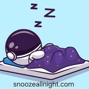 snoozeallnight