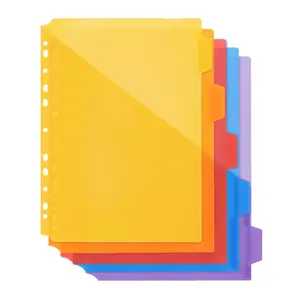 Index Label A4 File Folder Set, 5 Color Coded Pages, Plastic Material, Fits 2-11 Hole Binders, Document Organization & Desktop Storage