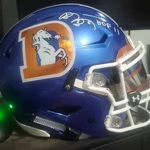 Sports Trading Card Helmet filler/supplemental 8 divisions