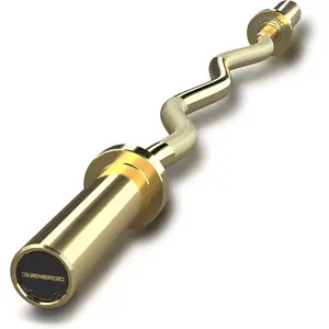 47" Olympic EZ Curl Bar 500-lbs Capacity Steel Barbell Suitable for 2" Weight Plates, 2-Inch Curl Bar for Weight Lifting,Hip Thrusts,Squat,Biceps-Home Gym Weight Bar