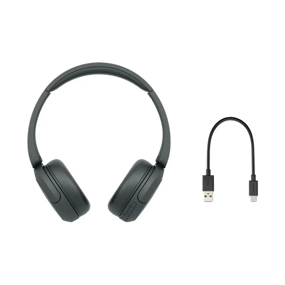 Sony WH-CH520 Wireless Headphones with Microphone - Audio Device for Computers, Custom Adjustable Fit, Detachable USB Cable, Comfortable Earpads, Seamless Streaming Connection, Black