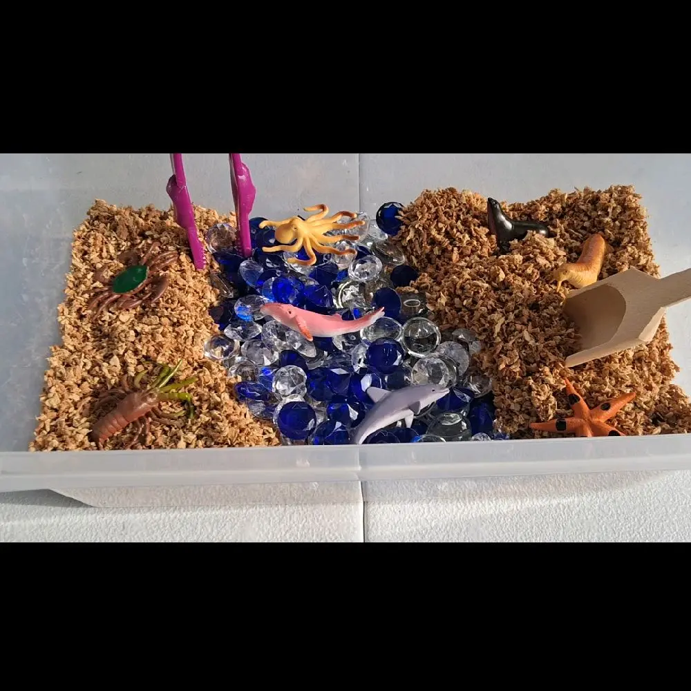 Ocean Discovery Pluffle Sensory Bin