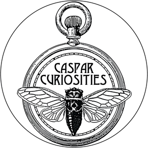 Caspar Curiosities