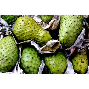 Fresh Soursop-Guanabana-Graviola 2-3lb very limited due to cold weather (1 per customer only)