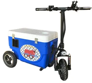 Cruzin Cooler Sport X-Li 1000 watt Electric Cooler Scooter with 48V 18Ah LiFePO Battery