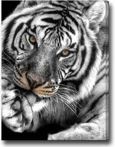 Black White Tiger Wall Art for Living Room Brown Eyed Tiger Painting Prints on Canvas Wild Animal Picture Art Decor Home Office Men Bedroom Modern Decoration Ready to Hang SHJY-01984