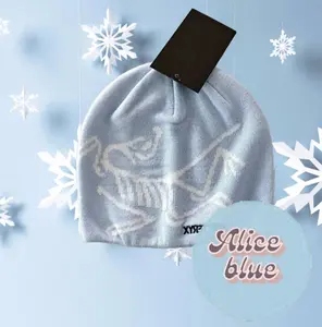 Arc'teryx Skull Cap, Bird Head Toque, Gorpcore Beanie, Streetwear Beanie.Y2K Aesthetic
