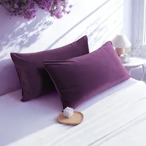 2 Velvet Pillowcases, Luxuriously Soft and Cozy Pillow Cases with Zipper Closure