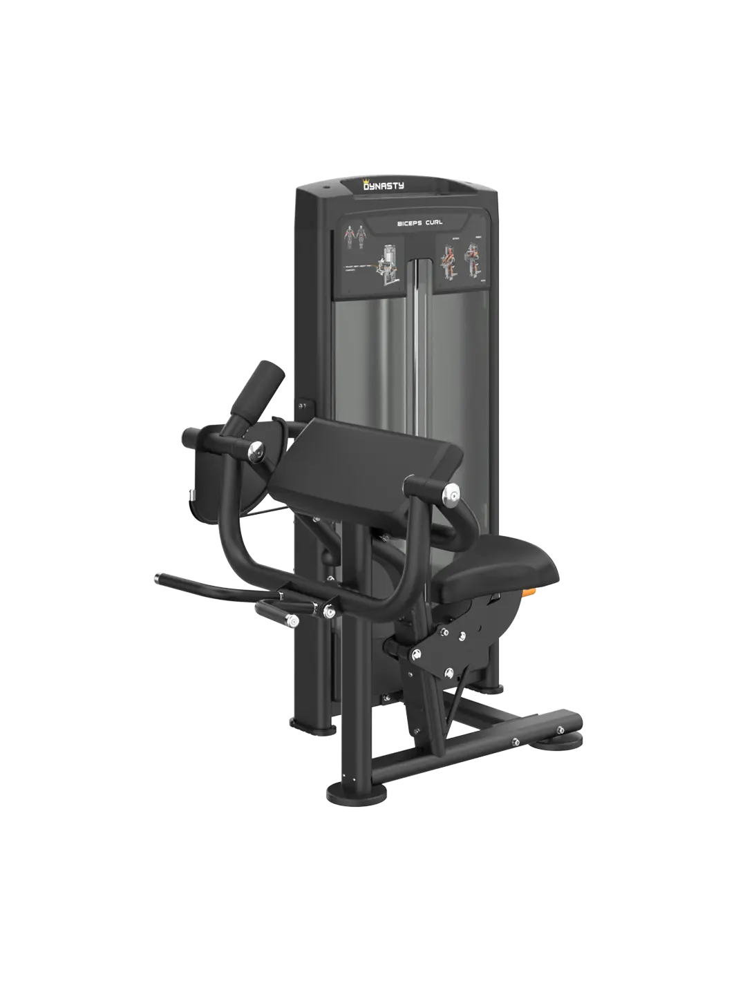 Biceps Curl DRE8006