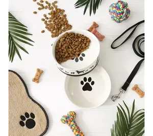 Bone Dry Dog Show Pet Bowls Large Set/2