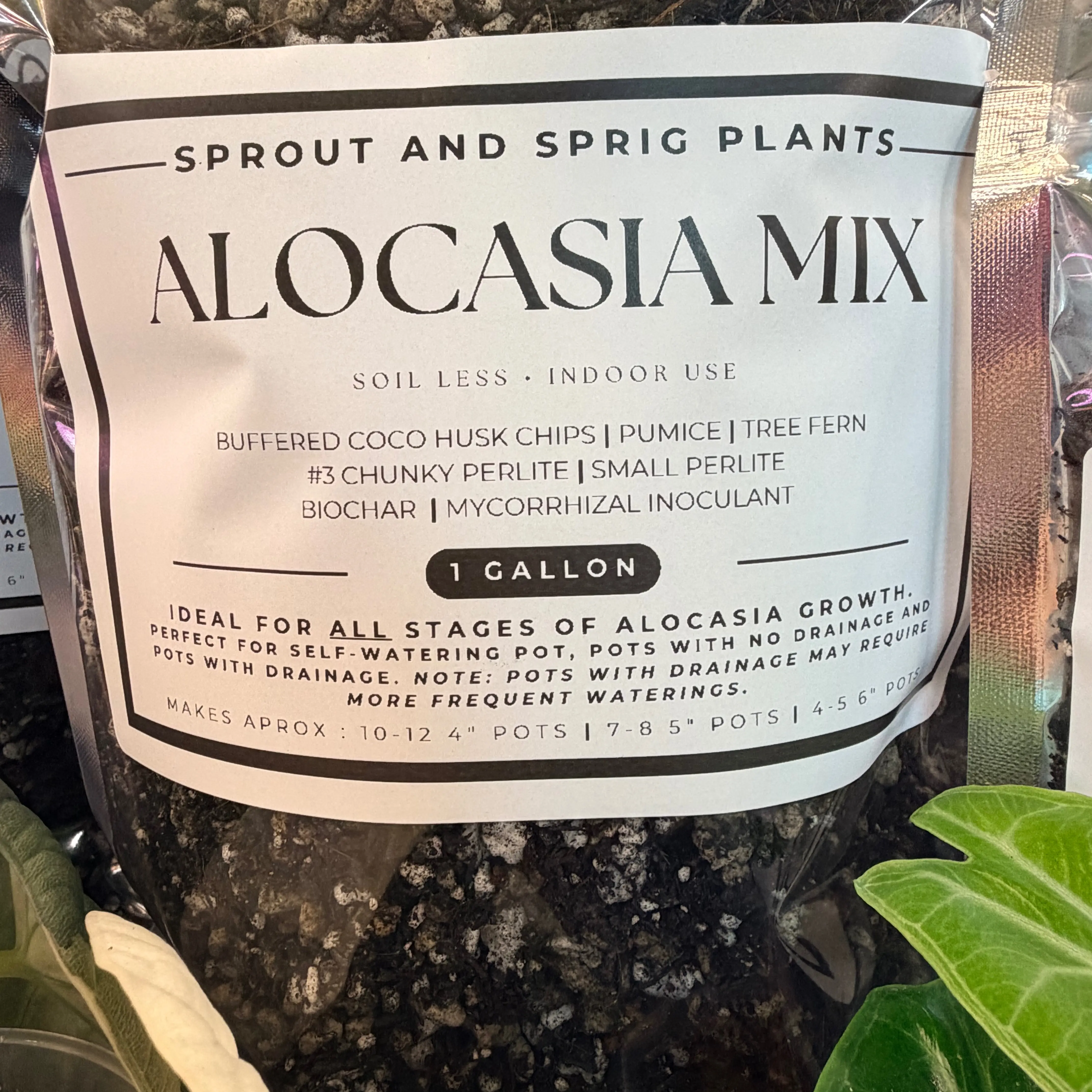 Gallon - Add Slow Release Fertilizer