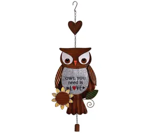 Sunset Vista Designs Owl Door Greeter