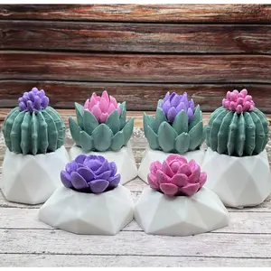Succulent Soaps