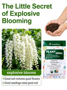 Arabian Jasmine Seeds for Planting – Easy to Grow Fragrant Flowers for Home Garden, Beginner Friendly Indoor & Outdoor Plants