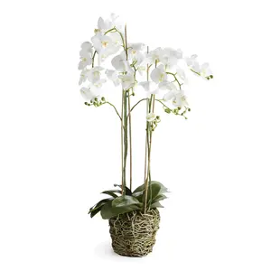 White Phalaenopsis Faux Orchid Drop-in Arrangement