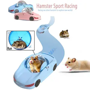 Hamster Exercise Wheel Toy, Easy Clean Detachable Lightweight Transparent Ball, Suitable for Small Pets, Fun Creative Design