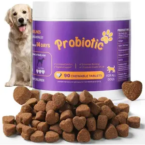 8-in-1 Dog Multivitamin Soft Chews with Probiotics - Gut & Immune Support - Pork Flavor - 90 Delicious Treats for Dogs