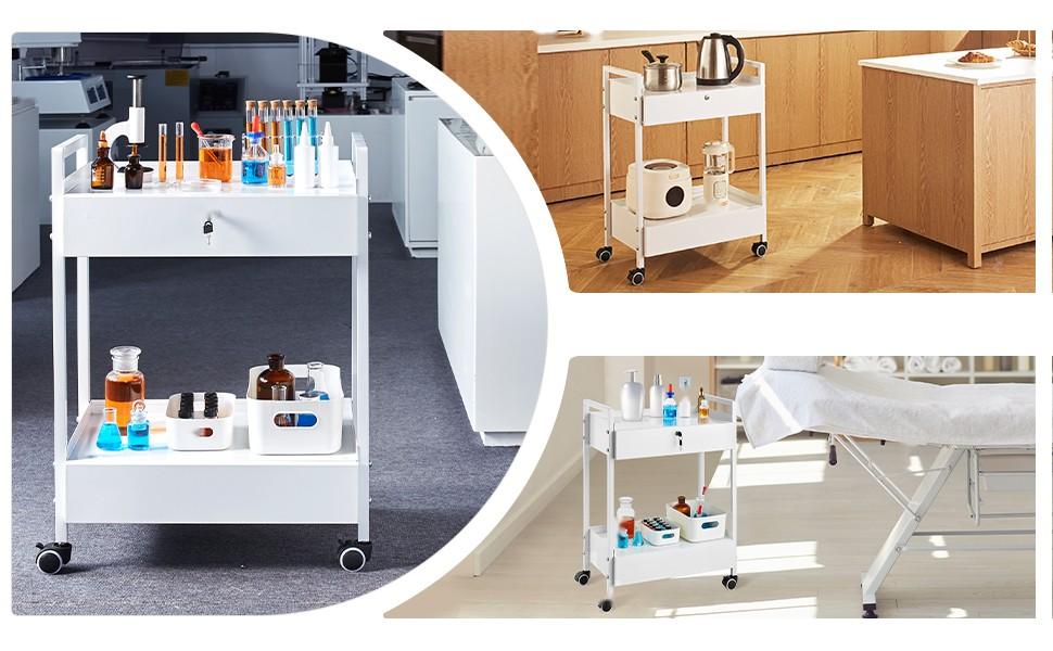 Lab Cart 2-Tier Stainless Steel Utility Cart, Medical Cart With 2 Drawers, Rolling Laboratory Cart In White Finish, Servicing And Transport Cart With Smooth Swivel Casters For Laboratory, Hospital, Dental Clinic, Salon And Beauty Lab Cart 2-Tier Stainless Steel Utility Cart, Medical Cart With 2 Drawers, Rolling Laboratory Cart In White Finish, Servicing And Transport Cart With Smooth Swivel Casters For Laboratory, Hospital, Dental Clinic, Salon And Beauty
