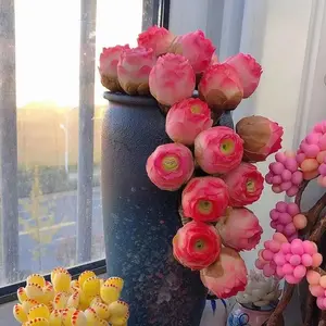 200 pcs mountain Rose succulent plant Seeds – Rare Multi-Headed Wine Glass Roses for Indoor & Office Decor – Vibrant Plants for Every Season