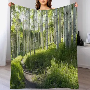 Forest Throw Blanket Nature Tree Trail Path Landscape Morning Sunshine Through Green Tree Blanket for Sofa Bed Couch Chair Or Dorm 30"x40"