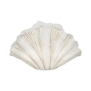 212 MAIN 22 in. White Scallop Shell Polyresin Home Decor, Coastal Decor Piece with Nautical Flair & Ocean Charm, Decorative Centerpiece - Model 20411