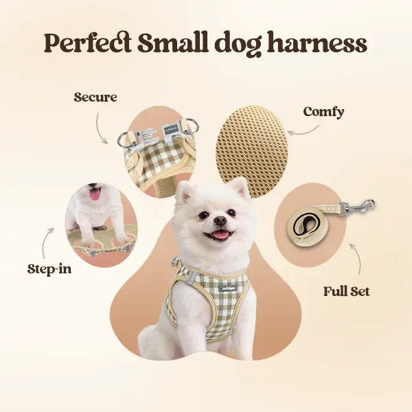 Rabbitgoo Minifit Step-In Secure Fit Puppy Harness for Small Dogs with Leash - 0.2lb Lightweight Breathable Airy Mesh Fabric, Adjustable Straps, Reflective Strips, Quick On/Off Solid Colors Set, Easy & Worry-Free Collars and Harnesses and Leads Accessory