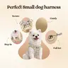 Rabbitgoo Minifit Step-In Secure Fit Puppy Harness for Small Dogs with Leash - 0.2lb Lightweight Breathable Airy Mesh Fabric, Adjustable Straps, Reflective Strips, Quick On/Off Solid Colors Set, Easy & Worry-Free Collars and Harnesses and Leads Accessory