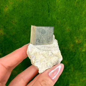 Rectangular Pyrite shap on Matrix | Rare | Pyrite Cubes from Navajún, Spain
