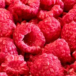 Freeze Dried Raspberries!! Local WA grown!