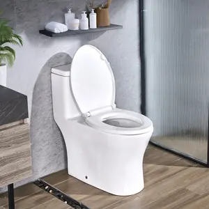 VEVOR One-Piece Toilet, Elongated Toilet Vortex Dual-Flush 1.0/1.28 GPF, Toilets for Bathroom with Comfortable Chair Seat, Standard Height, Easy-Clean Skirted Design, 12 inch Rough-In, White + Silver